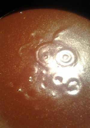 A picture of skunks barbeque sauce for birthday ribs.