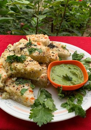 A picture of Steam dhokla.