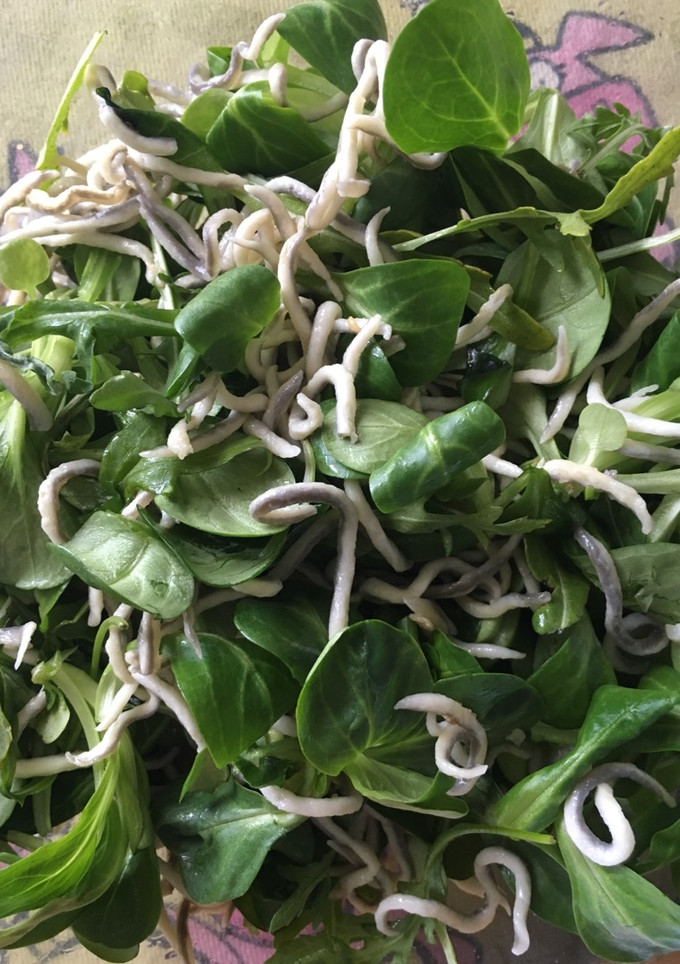 Una foto de Ensalada de gulas y canónigos