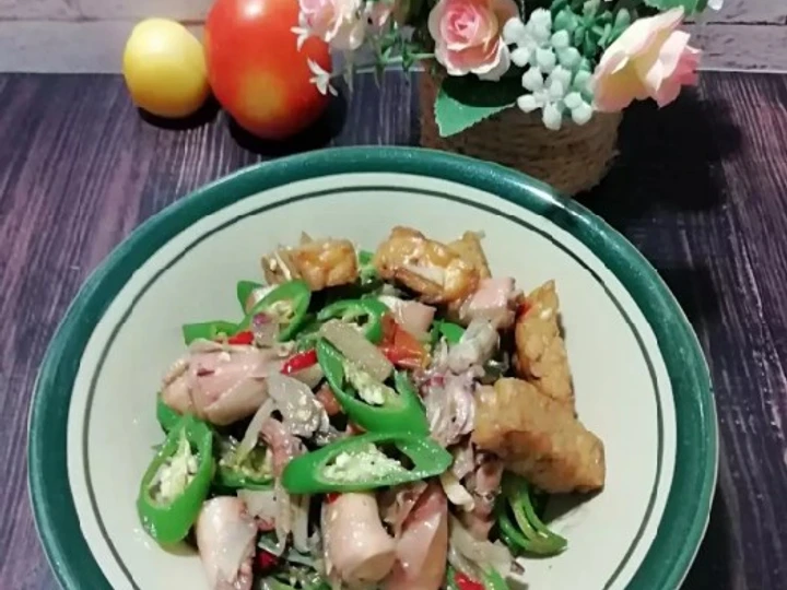 Cara Sederhana Menyiapkan Resep  564. Tumis Cumi Tempe Cabe Ijo yang Sempurna, Sempurna