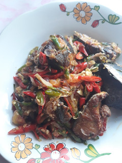 Foto resep Tongkol sambel tumis