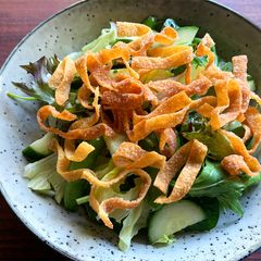 A picture of Fried Wonton Wrappers.