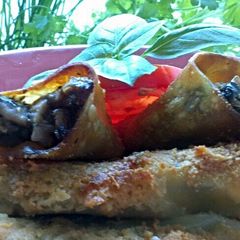 A picture of Sig's Spinach and Mushroom Cannelloni.