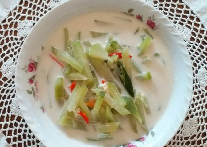Sayur Lodeh Jipang/Labu Siam (bumbu iris praktis)