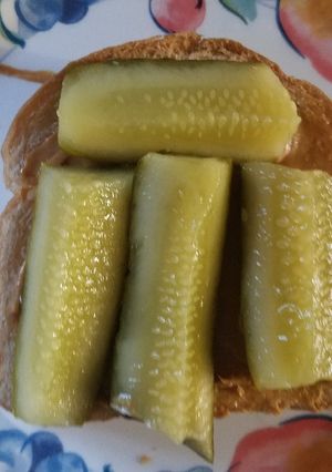 A picture of Mr. Spocks Peanut Butter & Pickle Sammich.