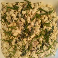 A picture of Macaroni with white Mushroom sauce and spinach.