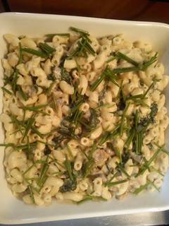 A picture of Macaroni with white Mushroom sauce and spinach.