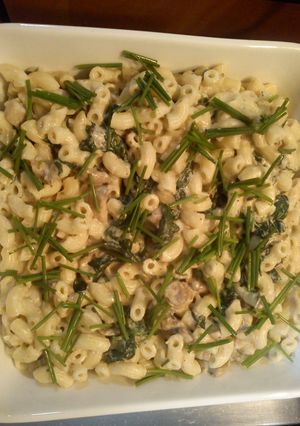A picture of Macaroni with white Mushroom sauce and spinach.