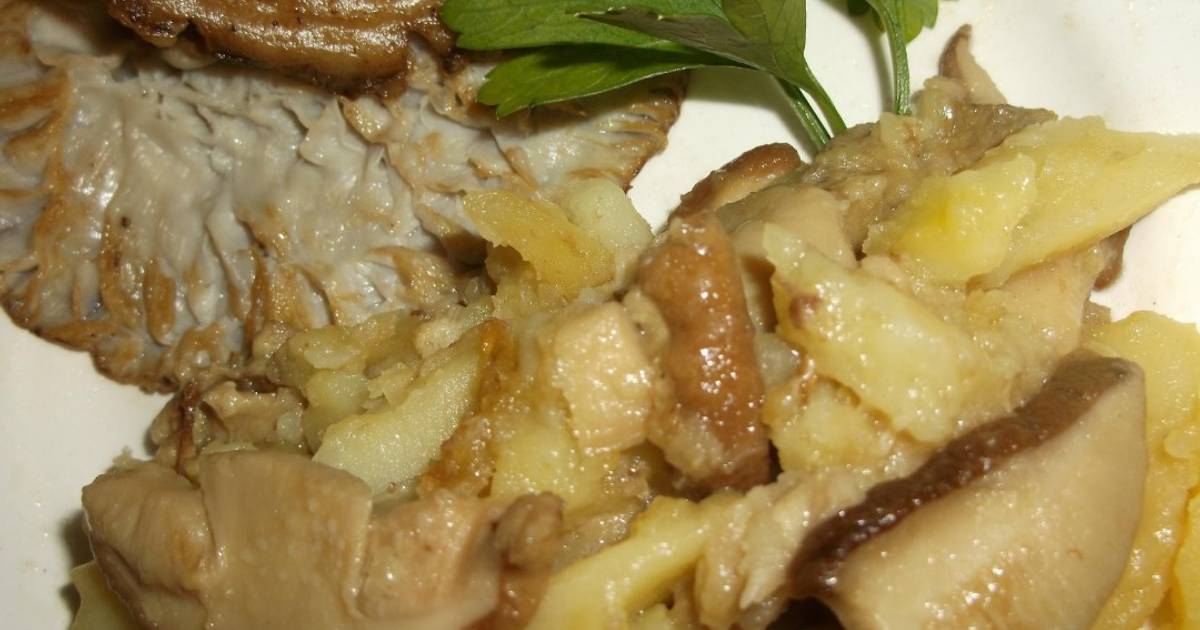 Белые грибы рецепты жареные с картошкой