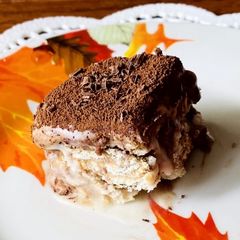 A picture of Italian dessert Tiramisu.