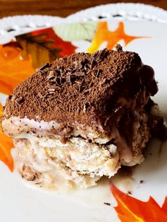 A picture of Italian dessert Tiramisu.