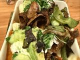 Fat Free Donner Style Meat and Salad