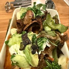 A picture of Fat Free Donner Style Meat and Salad.