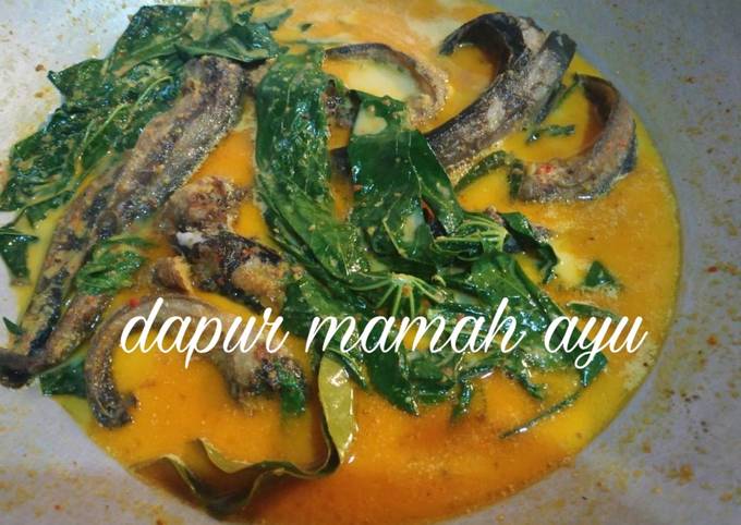 Resep Lele Kuah Santan Pedas (Daun Singkong) yang Enak