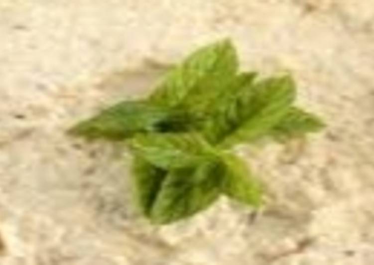 بابا غنوج بالخضار وعادى