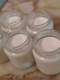 Yogurt casero