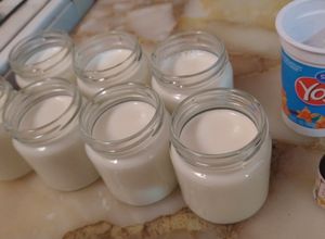 Una foto de Yogurt casero