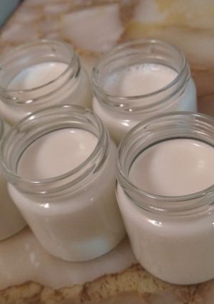 Una foto de Yogurt casero