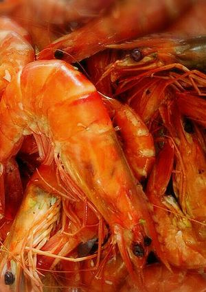 รูปของ กุ้งทะเลคั่วเกลือ