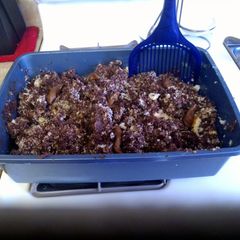 A picture of Kitty Litter cake.