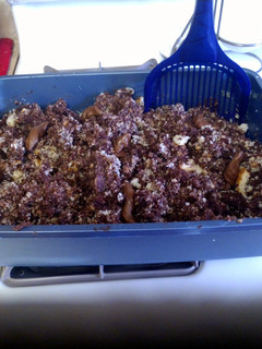 A picture of Kitty Litter cake.