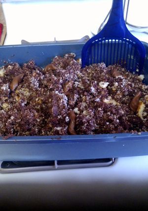 A picture of Kitty Litter cake.