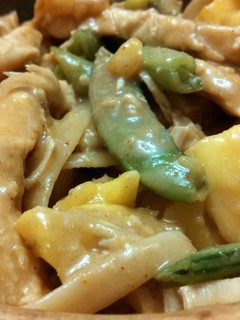 A picture of Turkey and Pasta with Peanut Sauce.