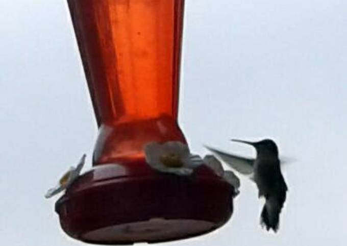 hummingbird sugar water