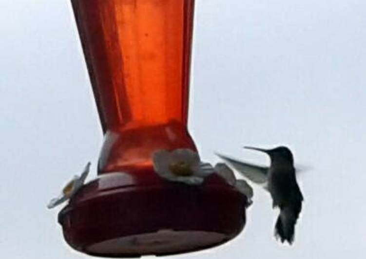 Easiest Way to Prepare Award-winning hummingbird sugar water