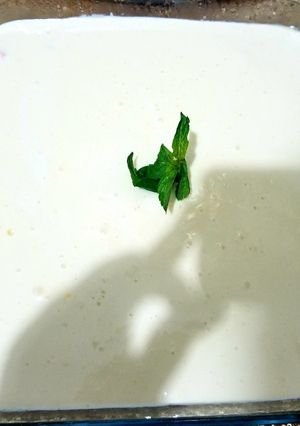 A picture of Mango delight.