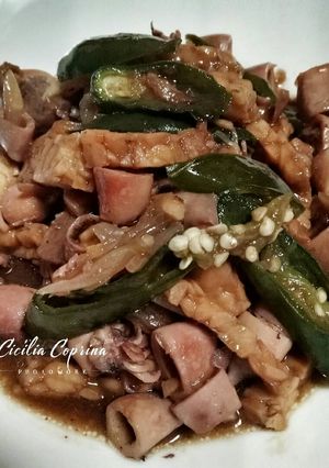 Foto resep Tumis Cumi Asin Tempe