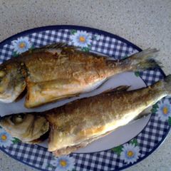 A picture of Fried sea bream and sea bass.