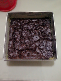 A picture of chocolate brownie with chocolate chips.