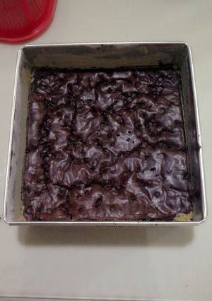 A picture of chocolate brownie with chocolate chips.