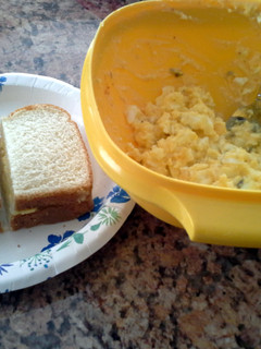 A picture of Mmm Egg Salad!.