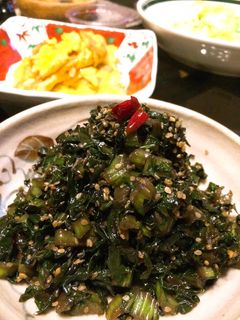 ◆日本常備菜漬物◆微辣芥菜(蘿蔔葉、蕪菁葉可代用) 的食譜成品照片