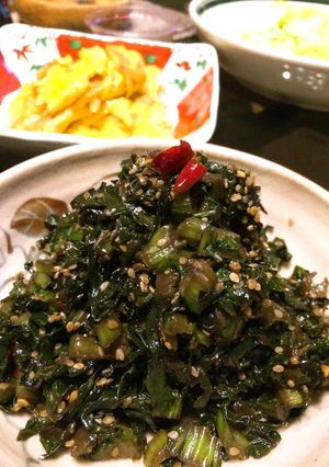 ◆日本常備菜漬物◆微辣芥菜(蘿蔔葉、蕪菁葉可代用) 的食譜成品照片