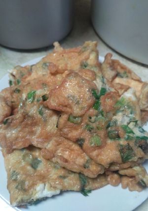 Foto resep Telur Dadar Campur Daun Bawang