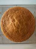 Vanilla Genoise (Sponge Cake)