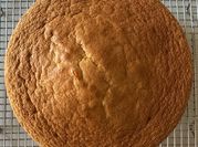 A picture of vanila sponge cake