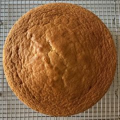 Vanilla Genoise (Sponge Cake) A picture of Vanilla Genoise (Sponge Cake).