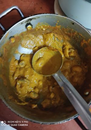 A picture of Gravy mushroom.