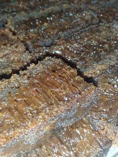 Foto resep Sarang semut / caramel cake