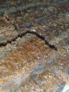 Foto resep Sarang semut / caramel cake