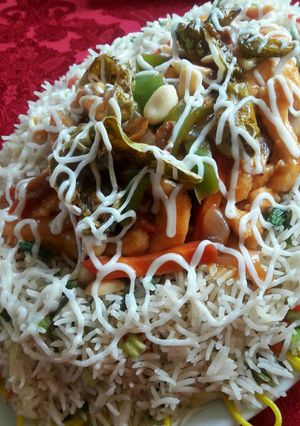 A picture of Singaporean rice.