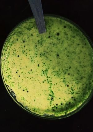 नारियल पुदीना चटनी (nariyal pudina chutney recipe in Hindi) रेसिपी मुख्य फोटो