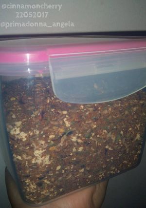 A picture of Mild Homemade Rub.