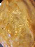 Cheaters Chicken Pie