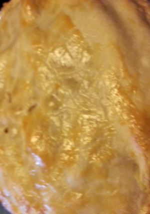 A picture of Cheaters Chicken Pie.
