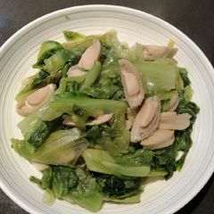 A picture of Chinese Lettuce w/ Scallops.
